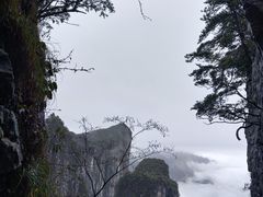 -恩施大峡谷