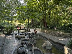 -成都市活水公园