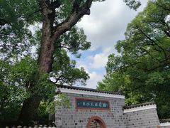 -八大山人梅湖景区