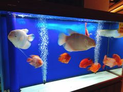 -宁海食府(大剧院店)