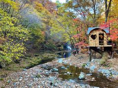 -关门山森林公园