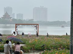 -顺峰山公园