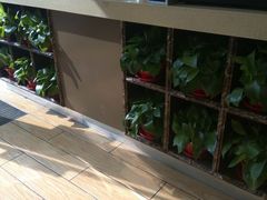 -花甲大咖(曼哈顿店)