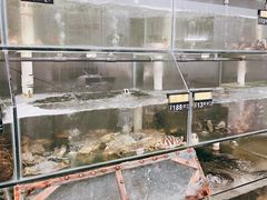 -三姐妹平价海鲜