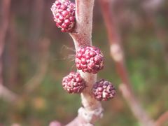 -九里河湿地公园