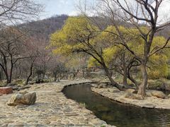 -武汉姚家山旅游景区