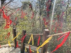 -少华山国家森林公园