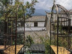 -喵屿·大理花园猫咖