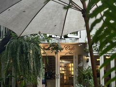 -Fern Forest Cafe