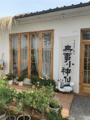 -DORA kids 朵拉儿童摄影花园店