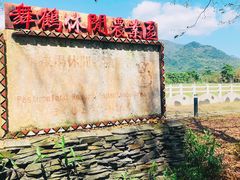 -瑞穗牧场