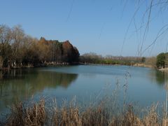 -苏州太湖国家湿地公园