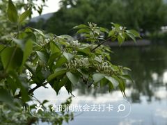 -国家植物园