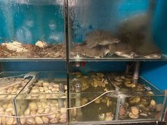 -新荣记(湾仔店)