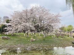 -堤角公园