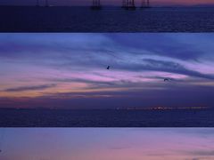 -宝安西湾红树林湿地公园