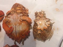 -星伦多自助料理(华润万象城店)