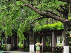 -四川大学(华西校区)