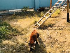 -无锡动物园·太湖欢乐园