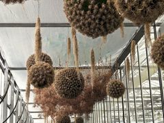 -上海鲜花港