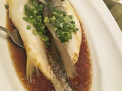 清蒸野生黄鱼-上海小南国(国发店)