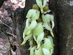 -广东天露山旅游度假区