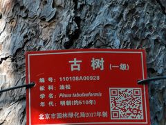 -北京鹫峰国家森林公园