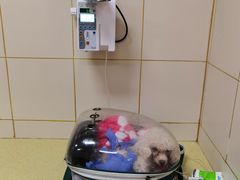 -北京佳信宠物医院