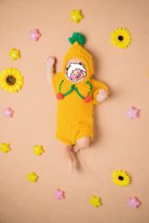 -河马叔叔孕婴儿童摄影(梦时代店)