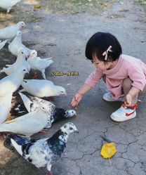 点击看大图 -玄武湖景区-情侣园游乐场