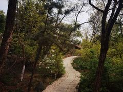 -阳台山自然风景区