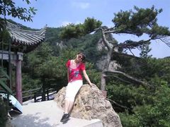 -王顺山国家森林公园