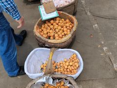 -枇杷沟农家乐·柴火鸡