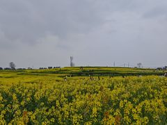 -三圣花乡旅游区