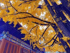 -红螺寺