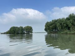 -焦岗湖旅游度假区