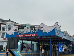 -芜湖新华联大白鲸海洋公园