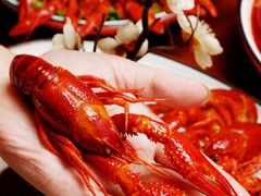 -虾弄弄海派小龙虾·牛羊蝎子火锅