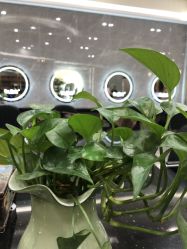 -名作·臻美Hair SaLon