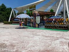 -上海玛雅海滩水公园