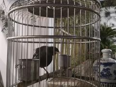 -健眺小海鲜(临海后山店)