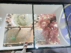 -缘福乡村铁锅炖民宿(八达岭店)