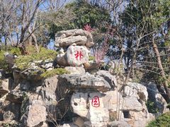 -朴园