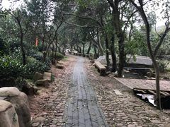 -雨花胜境