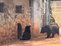 -昆明动物园