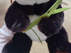 -广州长隆野生动物世界