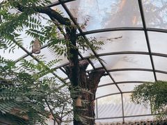 -zarah(鼓楼店)