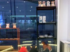 -柴务处·柴犬主题狗咖