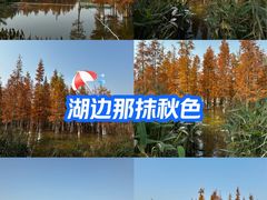 -白鹭湾湿地公园