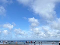 -日照海滨国家森林公园